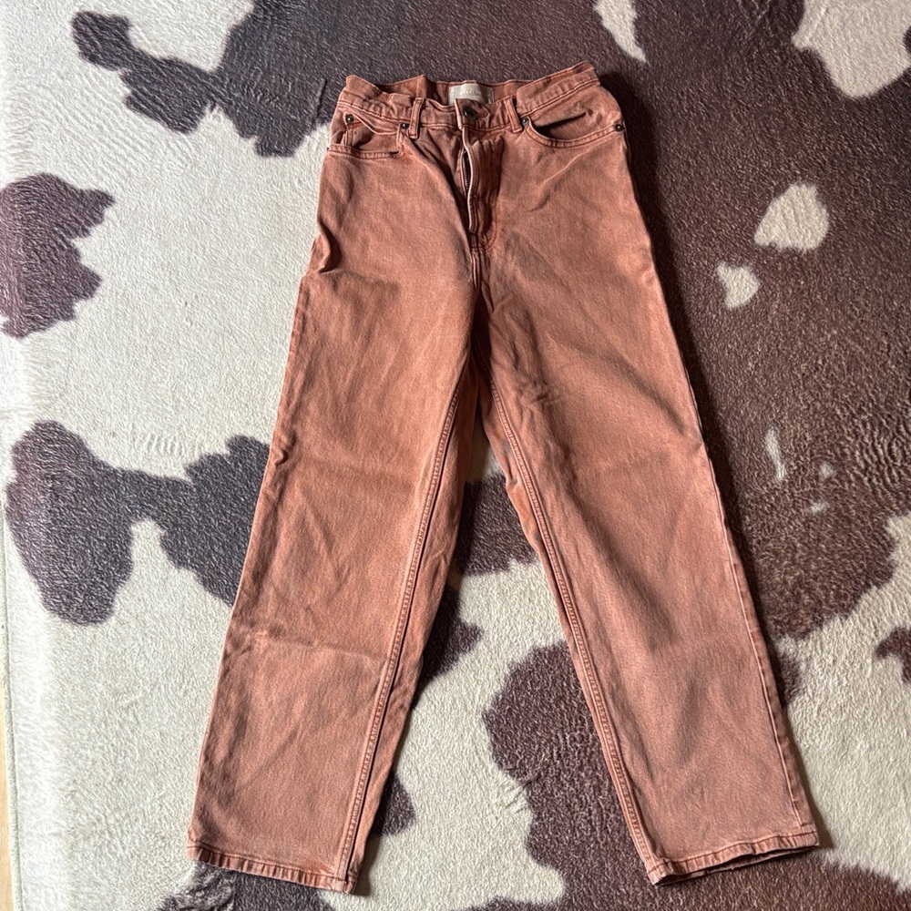 Everlane Women's Jeans in Rust